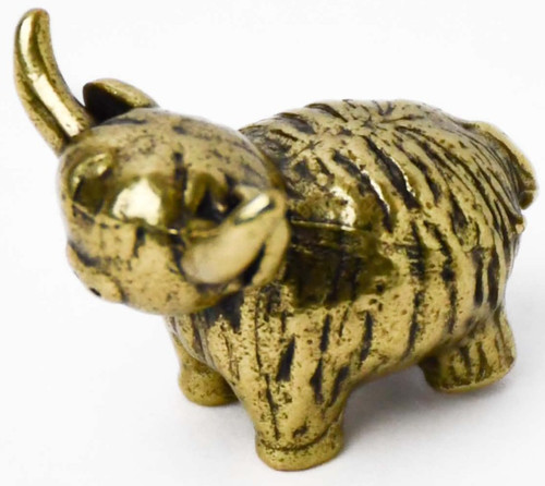 Small highland cow - highland, in
