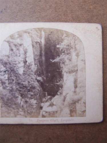 Stereoscopic stereo view - stereoscopic, stereo-view