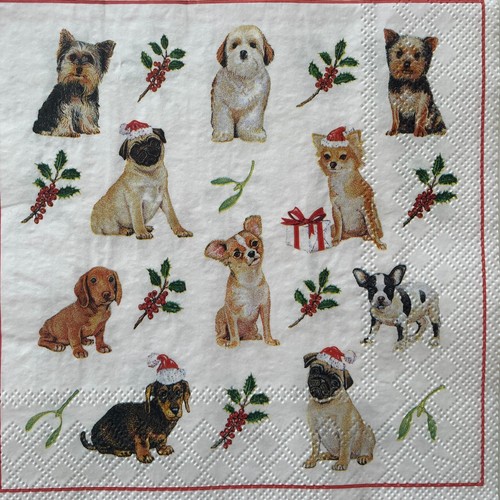 Luncheon paper napkins - x, for