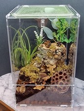 Mantis Den Large Enclosure