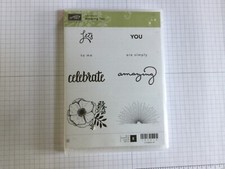 Stampin Up!  Amazing You -
