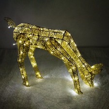 Light grazing doe reindeer - up,