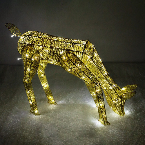 Light grazing doe - light,