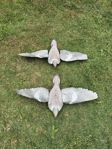 Wood pigeon decoys with - wood, paper