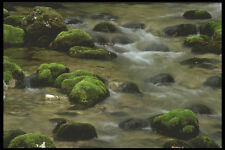 207097 Quiet Waters A4 Photo Print