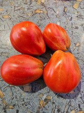 Mr Fothergill’s Tomato Seeds