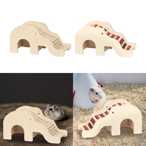 Hamster climbing toy animal - hamster,