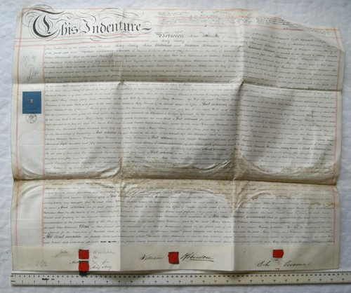 1852 vellum indenture king - vellum, indenture,
