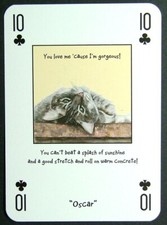 1 x playing card Magnificent