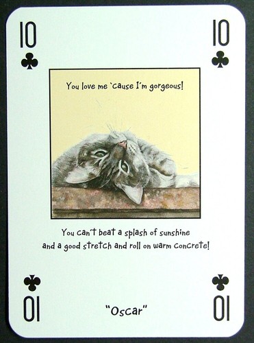 Playing card magnificent - x,