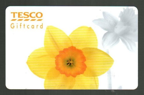 Tesco yellow daffodil - uk,