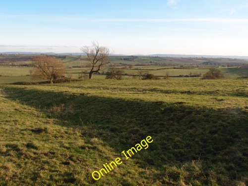 Photo 6x4 pasture - photo, south
