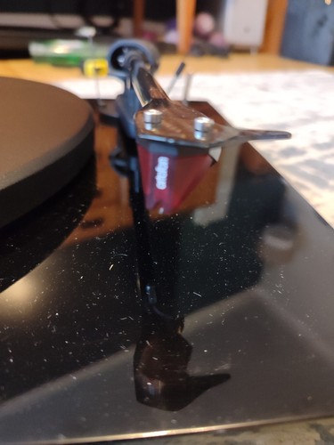 Pro ject debut - debut, carbon