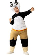 Kung Fu Panda Fancy Dress