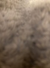 Dublin River boots size UK 4