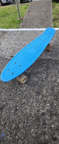 Penny board skateboard - skateboard,