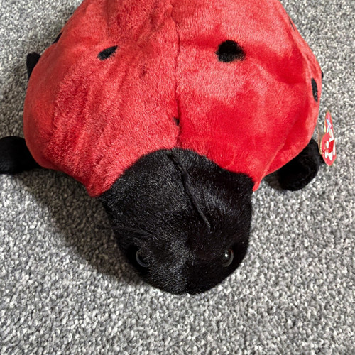 Beanie buddies lucky - beanie,
