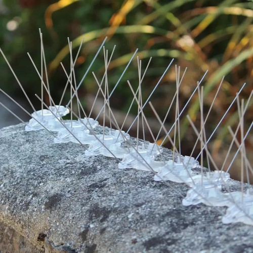 Fence wall spikes - wall, garden