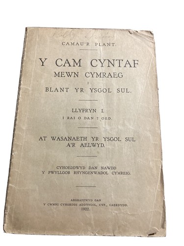 Cam cyntaf mewn cymraeg - y,