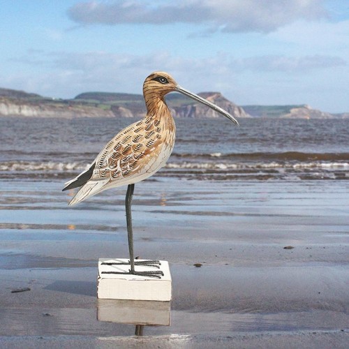 Curlew bird standing - |, wooden