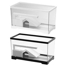 Turtle Tank Terrapin Basking