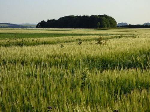 Photo 6x4 farmland - photo, farmland,