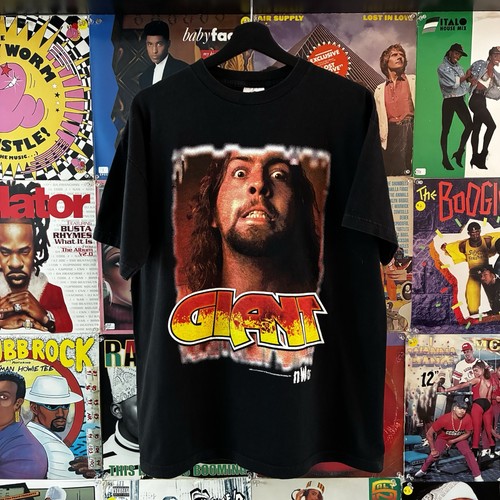 Vintage 90s wcw the - vintage, giant