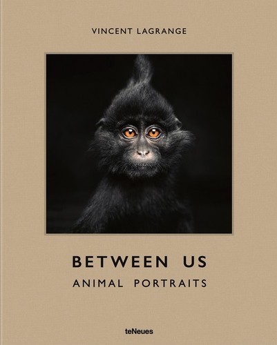 Between animal portraits - us:,
