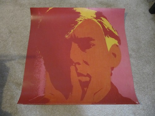 Andy warhol foundation 1993 - foundation,