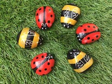 Hand Painted Bee Ladybird