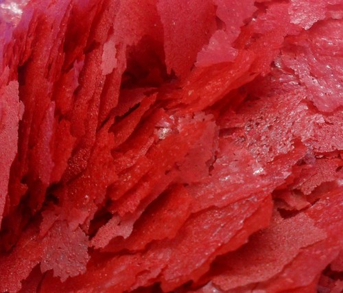 Ast krill flake colour - krill,