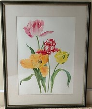 Tulips botanical study