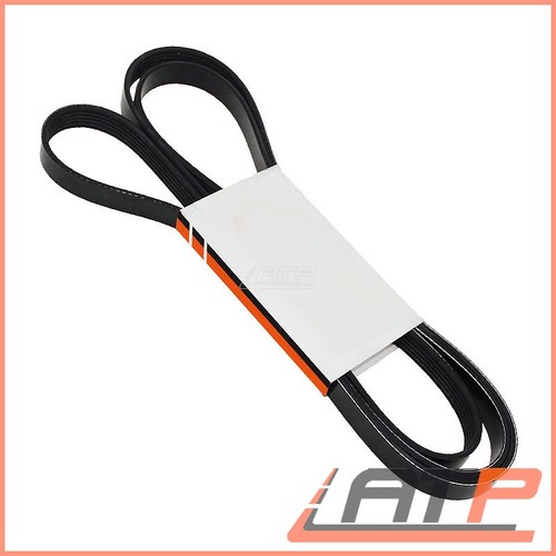 Ribbed belt for - 1x, opel