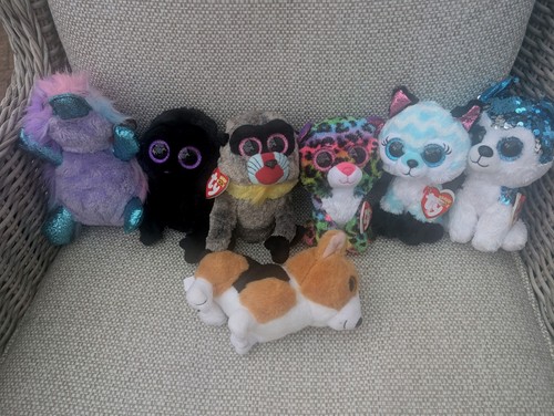 Beanie boo bundle 7 - ty, of