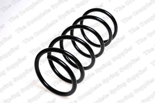 Suspension coil spring - coil, rear