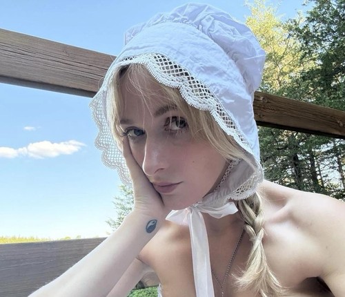 Victorian french lace cotton - french,