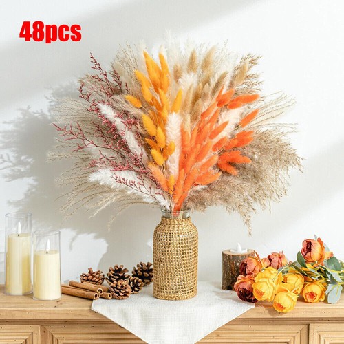 48pcs natural pampas grass - 48pcs,