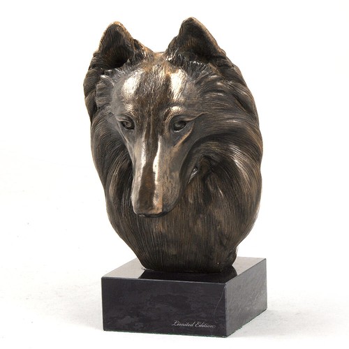 Belgian shepherd dog head - belgian, on