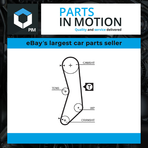 Timing belt fits - belt, seicento