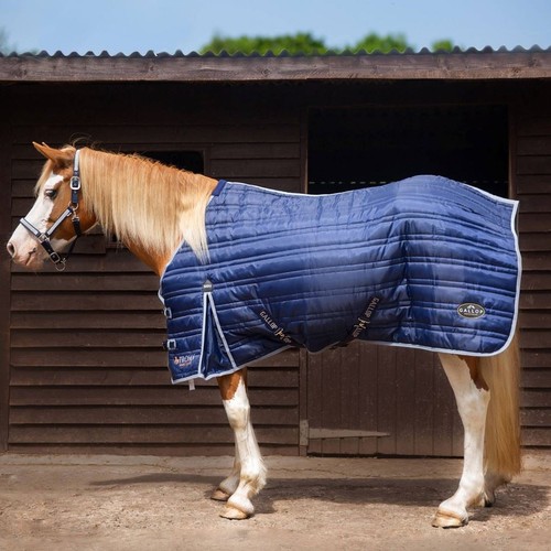 Gallop equestrian trojan 300g - equestrian,