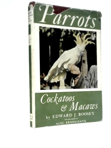 Parrots cockatoos macaws - cockatoos,