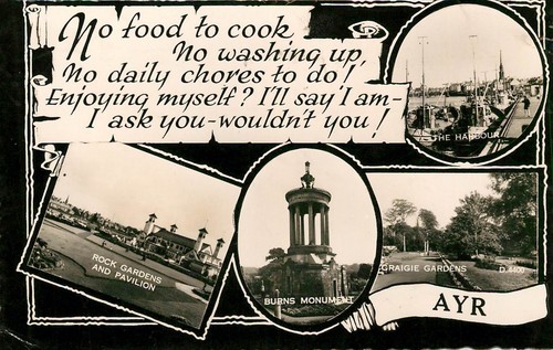 Ayr food cook - no, to