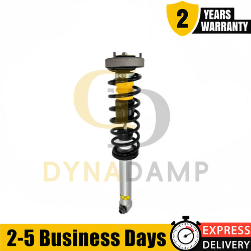 Rear shock absorber strut - shock,