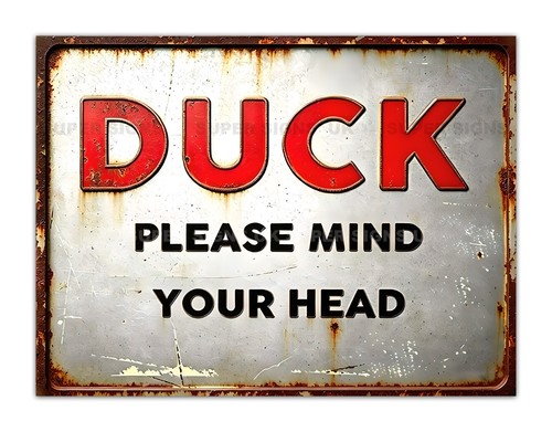 Duck please mind your head - duck,