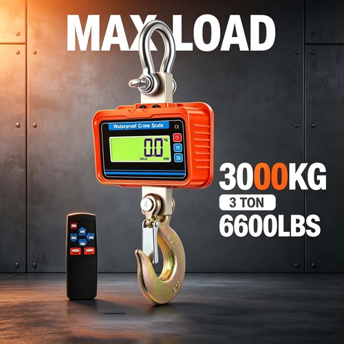 3000kg crane scale - 3000kg,