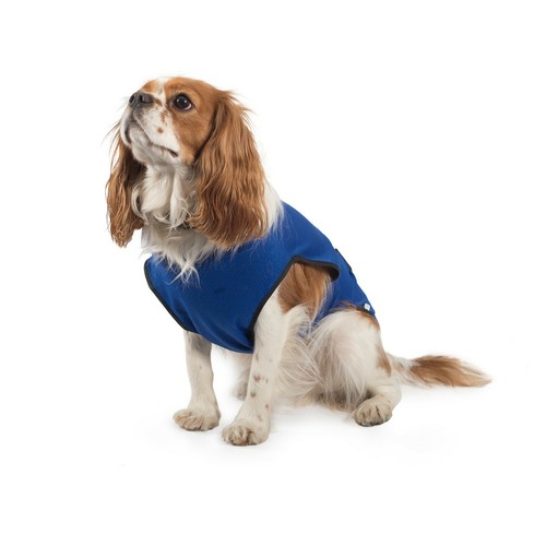 Ancol dog cooling - coat, summer