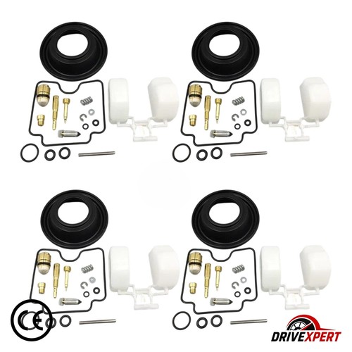 Complete carburetor kit - carburetor, for