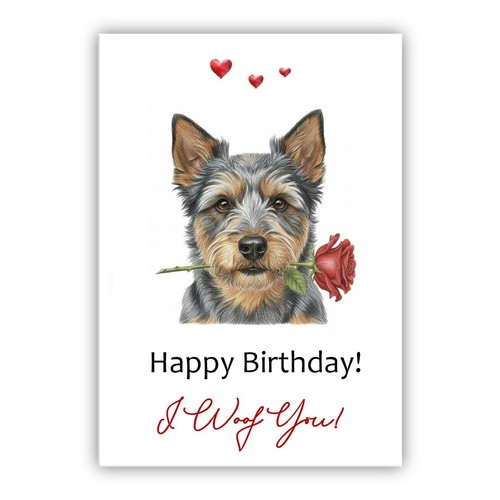 Australian terrier dog - australian,