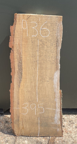 Live edge oak timber wood - live,