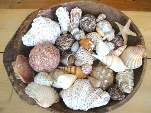 Huge joblot large natural - large,